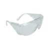 Climax Bezoekersbril Transparant 580-I