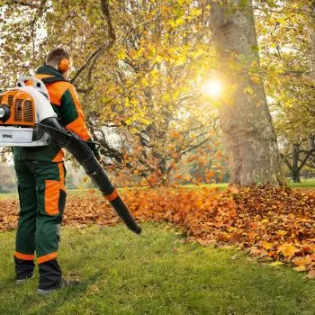 Stihl BR 450 C EF 2