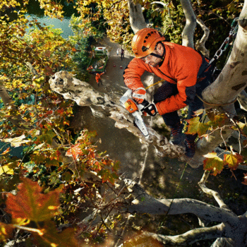 Stihl MSA 160 T a