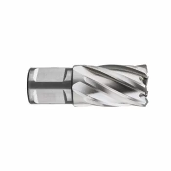 Eggenberg HSS Kernboor Weldon 19 - 55x30 mm - Afbeelding 2