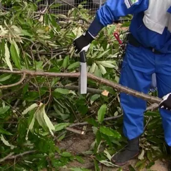 GTM Hakbijl dubbelzijdig geslepen 210 mm - Afbeelding 4