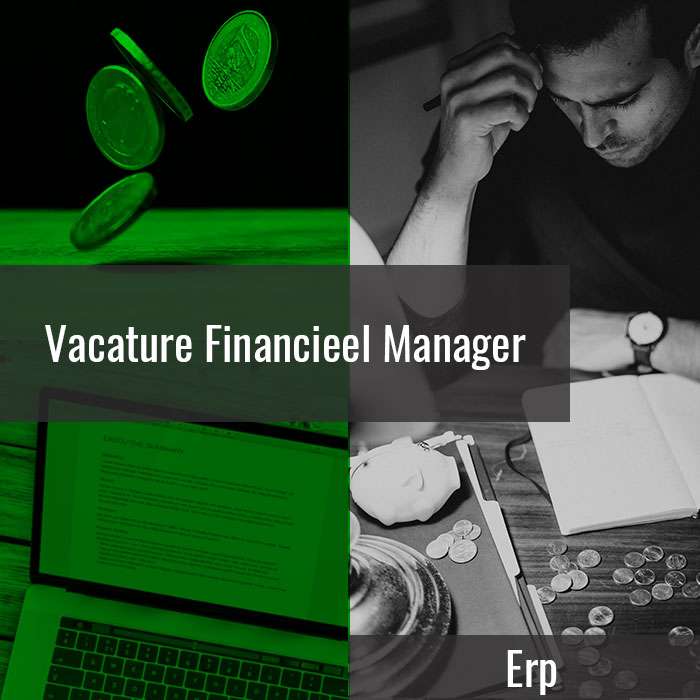Vacature Financieel Manager in Erp