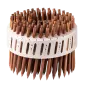 Beck Fastening LignoLoc Houten Coilnagels 4.7 x 75 mm - 2400 stuks