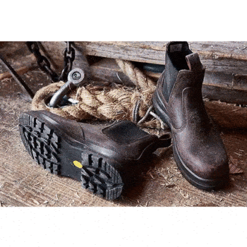 Veiligheidsschoenen carhartt S3