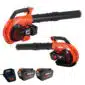ECHO DPB-2600 Accu Bladblazer Set - 2x 2.5Ah Accu + Lader